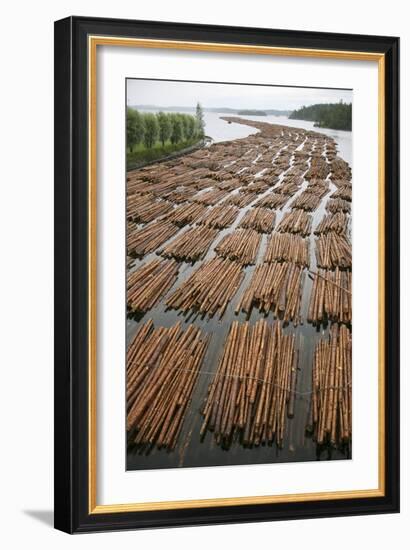 Timber Floating on a River-Bjorn Svensson-Framed Photographic Print