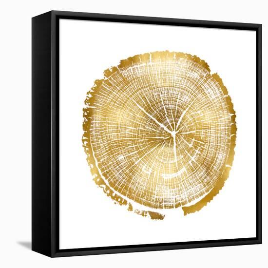 Timber Gold I-Danielle Carson-Framed Stretched Canvas