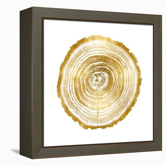 Timber Gold II-Danielle Carson-Framed Stretched Canvas