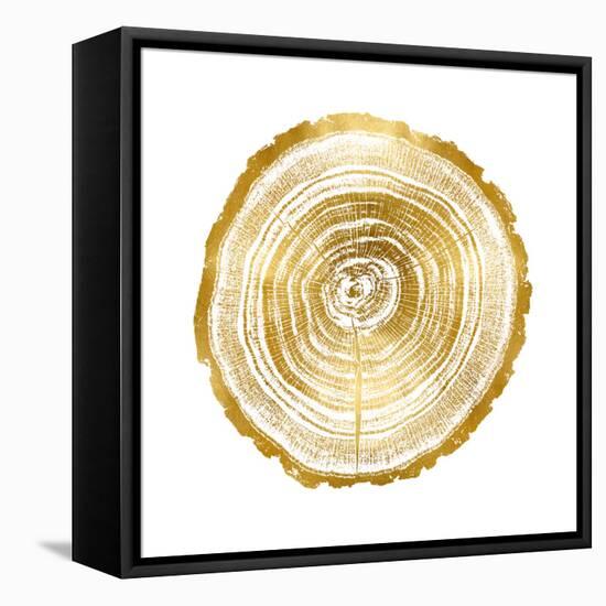 Timber Gold II-Danielle Carson-Framed Stretched Canvas