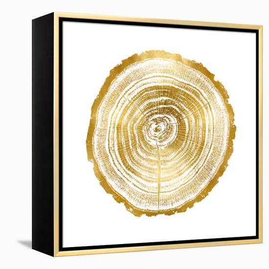 Timber Gold II-Danielle Carson-Framed Stretched Canvas