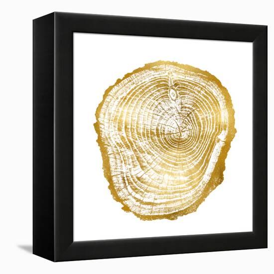 Timber Gold III-Danielle Carson-Framed Stretched Canvas