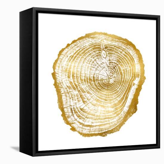 Timber Gold III-Danielle Carson-Framed Stretched Canvas