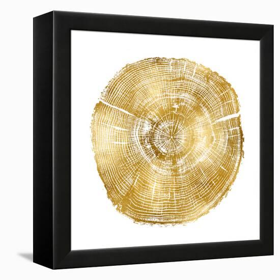 Timber Gold IV-Danielle Carson-Framed Stretched Canvas