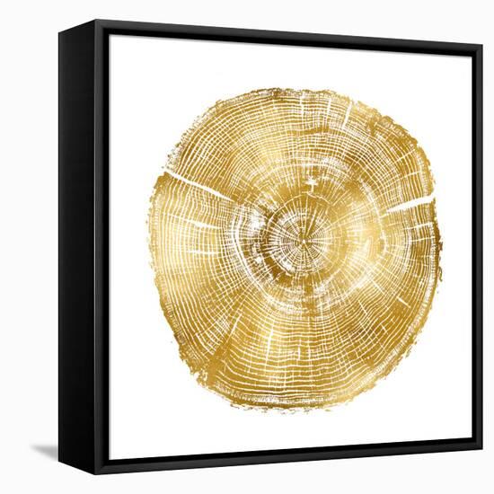 Timber Gold IV-Danielle Carson-Framed Stretched Canvas