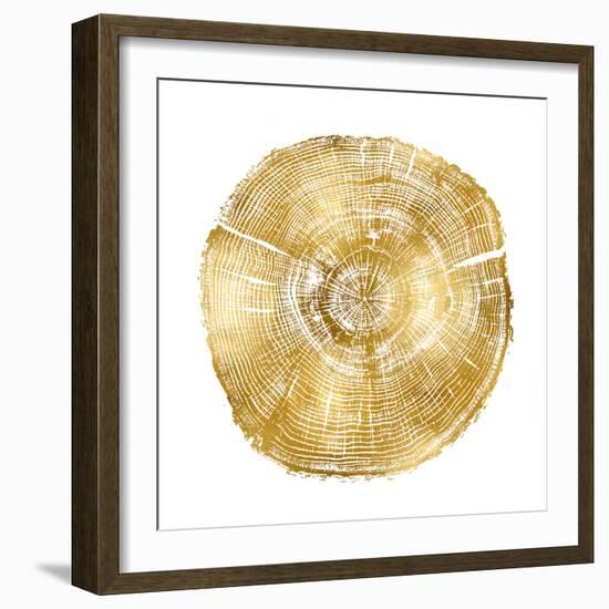 Timber Gold IV-Danielle Carson-Framed Art Print