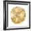 Timber Gold IV-Danielle Carson-Framed Art Print