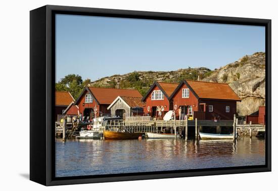 Timber Houses, Grebbestad, Bohuslan Region, West Coast, Sweden, Scandinavia, Europe-Yadid Levy-Framed Premier Image Canvas