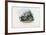 Timber Rattlesnake, 1863-79-Raimundo Petraroja-Framed Giclee Print