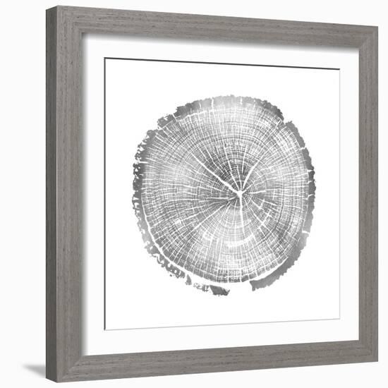 Timber Silver I-Danielle Carson-Framed Art Print