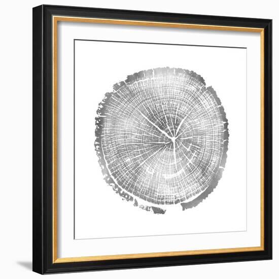 Timber Silver I-Danielle Carson-Framed Art Print