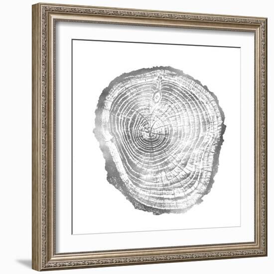 Timber Silver III-Danielle Carson-Framed Art Print