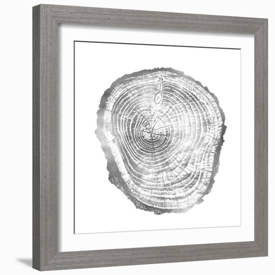 Timber Silver III-Danielle Carson-Framed Art Print