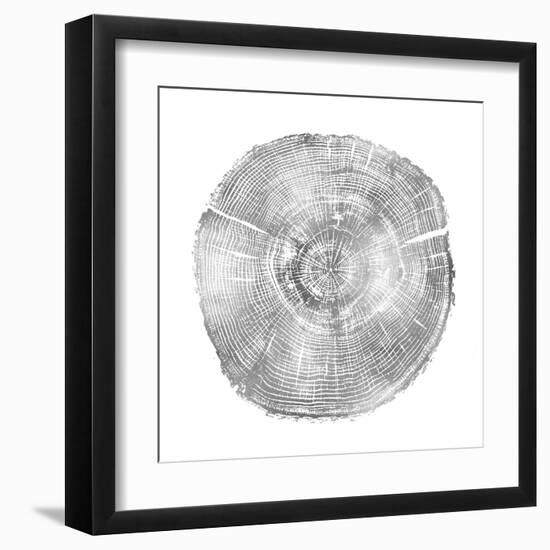 Timber Silver IV-Danielle Carson-Framed Art Print