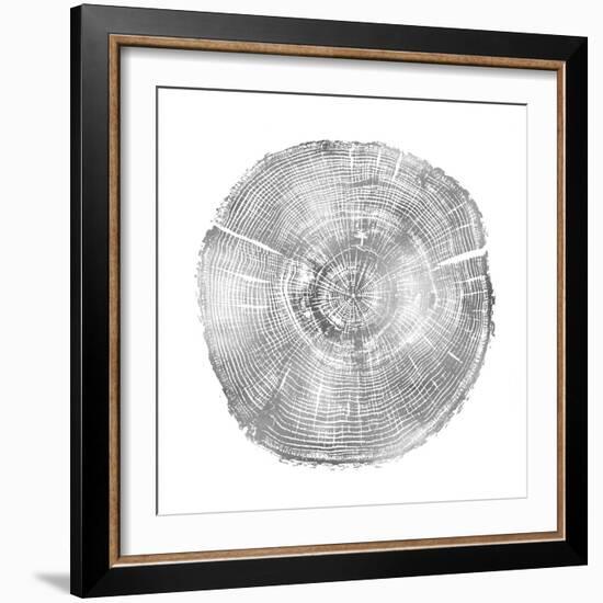 Timber Silver IV-Danielle Carson-Framed Art Print
