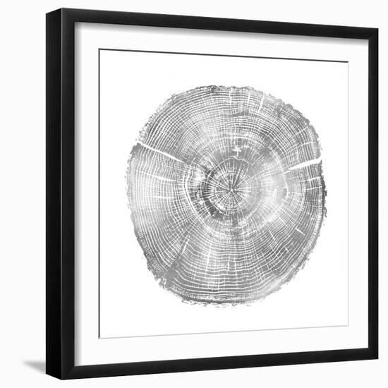 Timber Silver IV-Danielle Carson-Framed Art Print