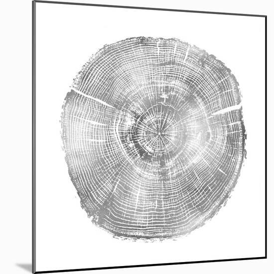 Timber Silver IV-Danielle Carson-Mounted Art Print