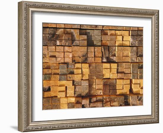 Timber, Stacked-Thonig-Framed Photographic Print