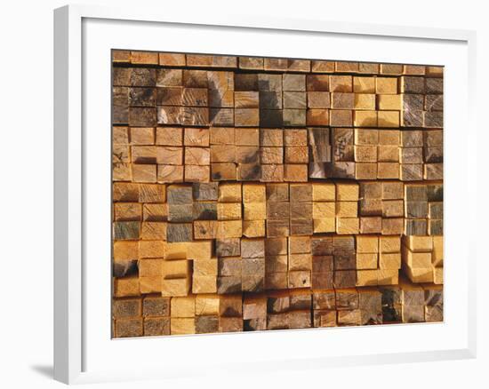 Timber, Stacked-Thonig-Framed Photographic Print