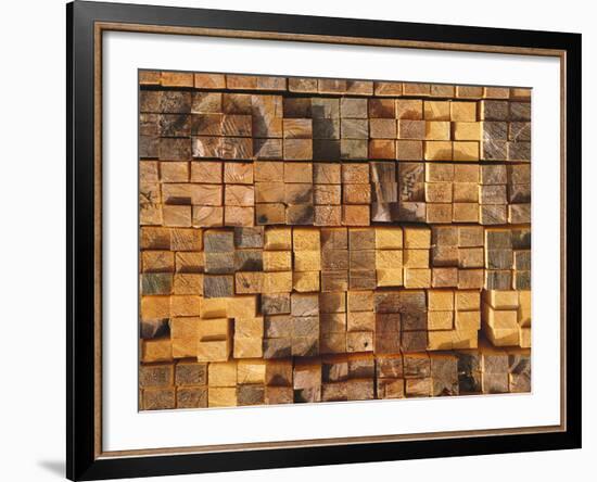 Timber, Stacked-Thonig-Framed Photographic Print