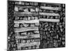 Timber Stockpile-Michael Banks-Mounted Giclee Print