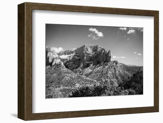 Timber Top-Laura Marshall-Framed Photographic Print