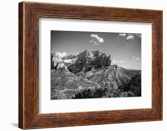 Timber Top-Laura Marshall-Framed Photographic Print