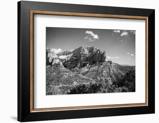 Timber Top-Laura Marshall-Framed Photographic Print