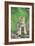 Timber Wolf Pup Sitting Down-null-Framed Photographic Print
