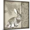 Timberland Bunny-Dorothea Taylor-Mounted Art Print