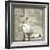 Timberland Fox-Dorothea Taylor-Framed Art Print