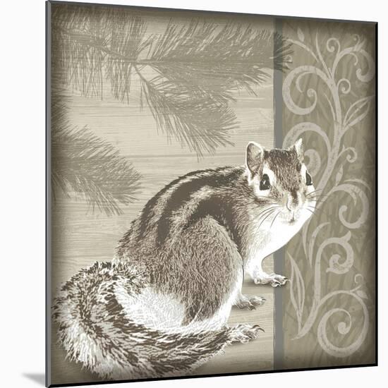 Timberland Squirrel-Dorothea Taylor-Mounted Art Print