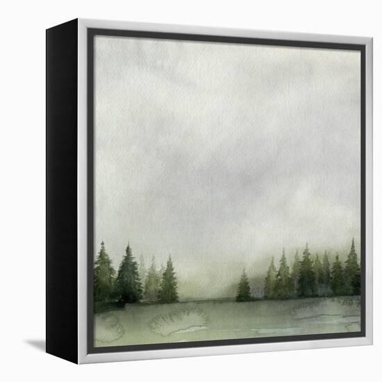 Timberline II-Grace Popp-Framed Stretched Canvas