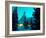 Timberline Lodge at Night in the Snow, Oregon Cascades, USA-Janis Miglavs-Framed Photographic Print