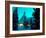 Timberline Lodge at Night in the Snow, Oregon Cascades, USA-Janis Miglavs-Framed Photographic Print