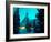 Timberline Lodge at Night in the Snow, Oregon Cascades, USA-Janis Miglavs-Framed Photographic Print