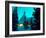 Timberline Lodge at Night in the Snow, Oregon Cascades, USA-Janis Miglavs-Framed Photographic Print