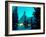 Timberline Lodge at Night in the Snow, Oregon Cascades, USA-Janis Miglavs-Framed Photographic Print