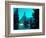 Timberline Lodge at Night in the Snow, Oregon Cascades, USA-Janis Miglavs-Framed Photographic Print