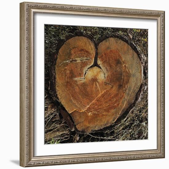 Timbre Heart-Staffan Widstrand-Framed Giclee Print