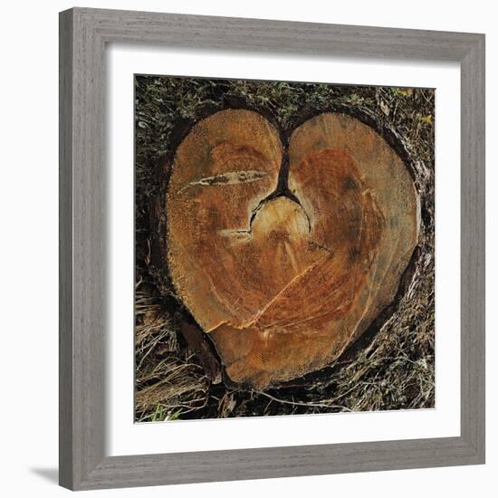 Timbre Heart-Staffan Widstrand-Framed Giclee Print