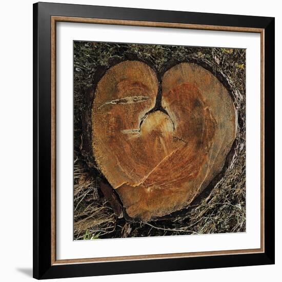 Timbre Heart-Staffan Widstrand-Framed Giclee Print
