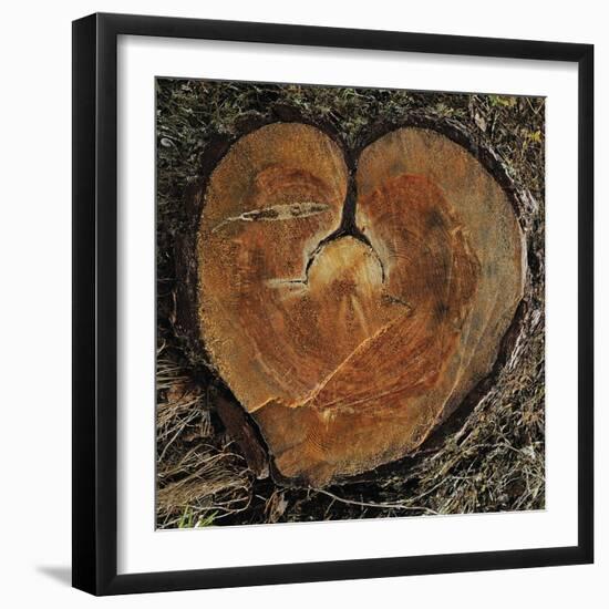 Timbre Heart-Staffan Widstrand-Framed Giclee Print