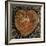 Timbre Heart-Staffan Widstrand-Framed Giclee Print