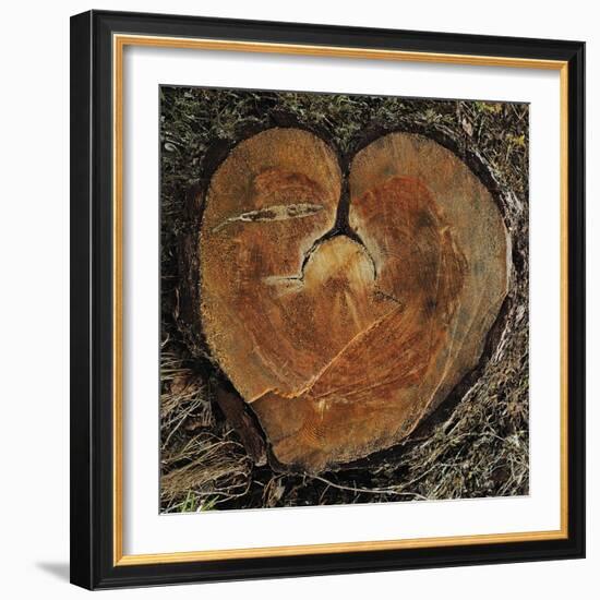 Timbre Heart-Staffan Widstrand-Framed Giclee Print