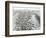 Timbuktu Engraving-null-Framed Premium Giclee Print