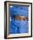 Timbuktu, the Eyes of a Tuareg Man in His Blue Turban at Timbuktu, Mali-Nigel Pavitt-Framed Photographic Print