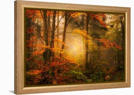 Time Away-Philippe Sainte-Laudy-Framed Premier Image Canvas