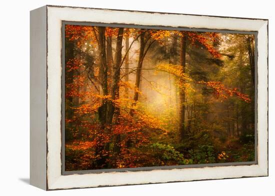 Time Away-Philippe Sainte-Laudy-Framed Premier Image Canvas