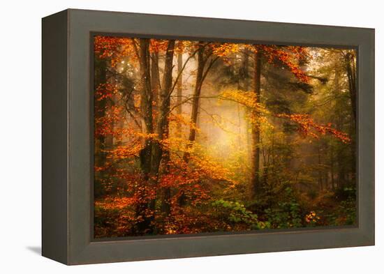 Time Away-Philippe Sainte-Laudy-Framed Premier Image Canvas